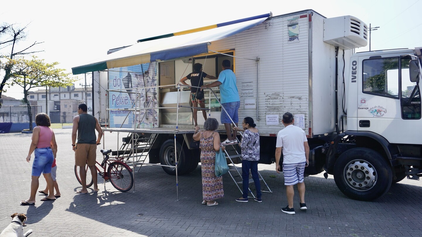 Confira a programação