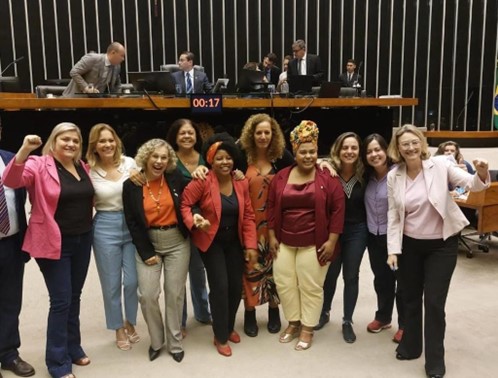 Deputadas comemoram no Plenário a aprovação do projeto