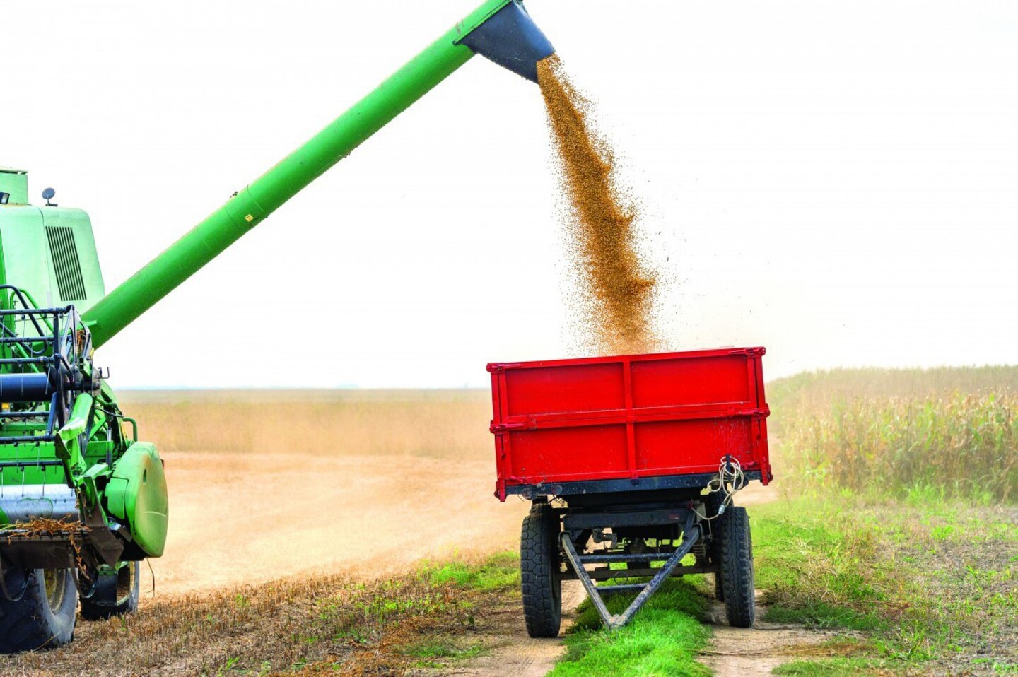 Produção de soja corresponde a 40% da receita da produção agrícola.