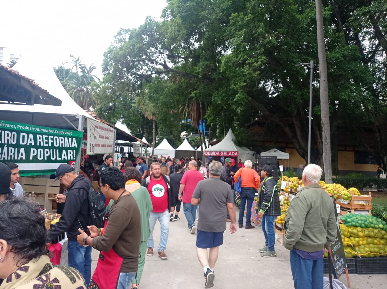 Feira do MST em São Paulo
