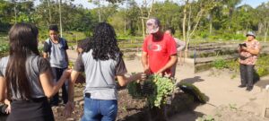 O projeto é um exemplo de iniciativa que une educação ambiental, segurança alimentar e desenvolvimento comunitário
