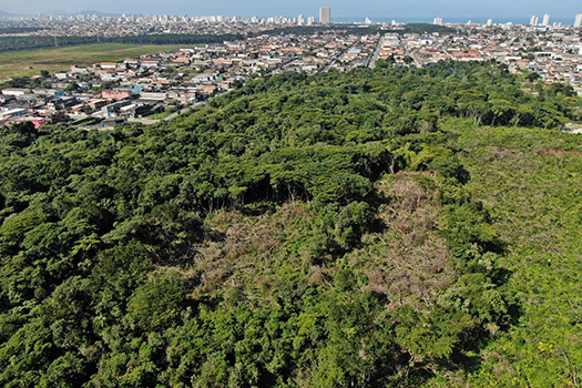 A Prefeitura de Praia Grande conta com uma Comissão Especial para Contenção de Invasão das Áreas de Preservação