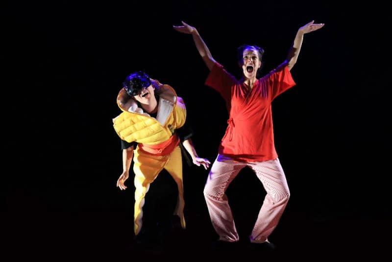 Na história, Lara, ao assistir sua irmã Cora adoecer de tristeza, embarca em uma aventura pelo jardim de sua casa em busca do Pássaro Azul