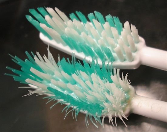 Não higienizar as escovas de dentes da forma certa pode fazer com que bactérias se desenvolvam