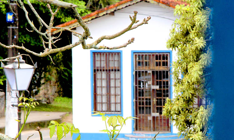 A exposição "Natureza Noturna" pode ser vista no Gabinete de Leitura José Rosendo