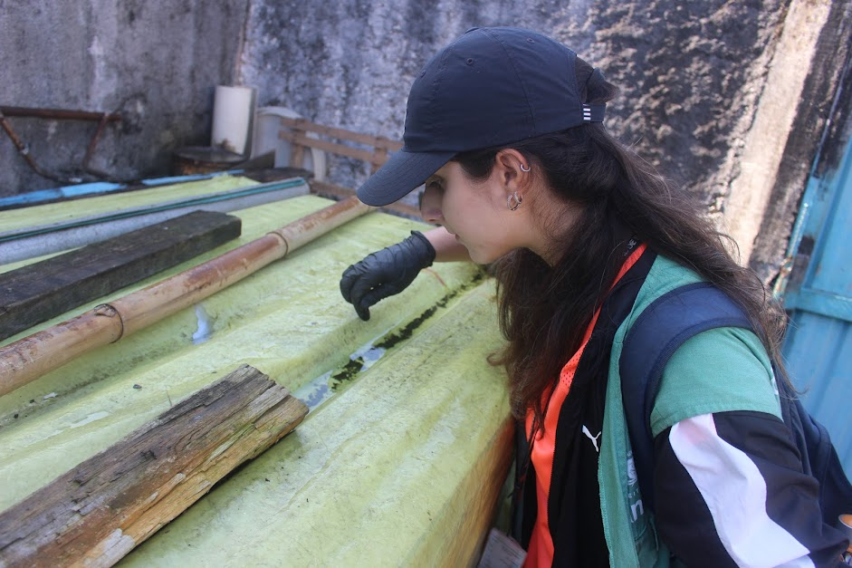Agentes comunitários combatem focos da dengue
