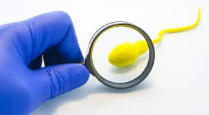 Serão realizados 44 procedimentos neste sábado (16)