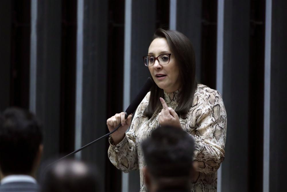 O projeto havia sido arquivado devido ao encerramento da 56ª Legislatura