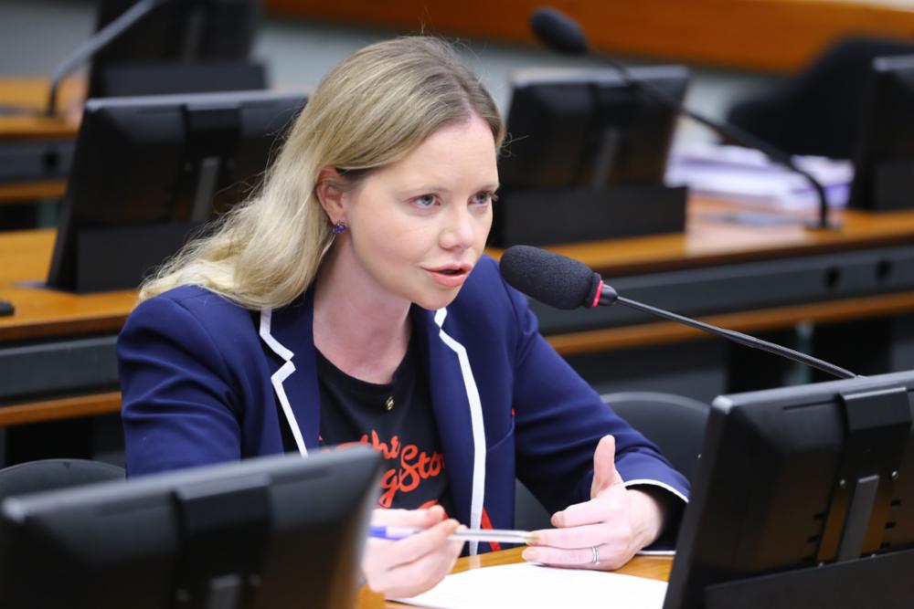 Durante a votação, o projeto recebeu críticas do Novo, e do PSOL