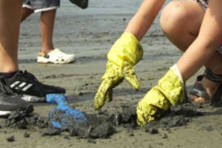 No Dia do Meio Ambiente, alunos coletam resíduos do estuário vicentino