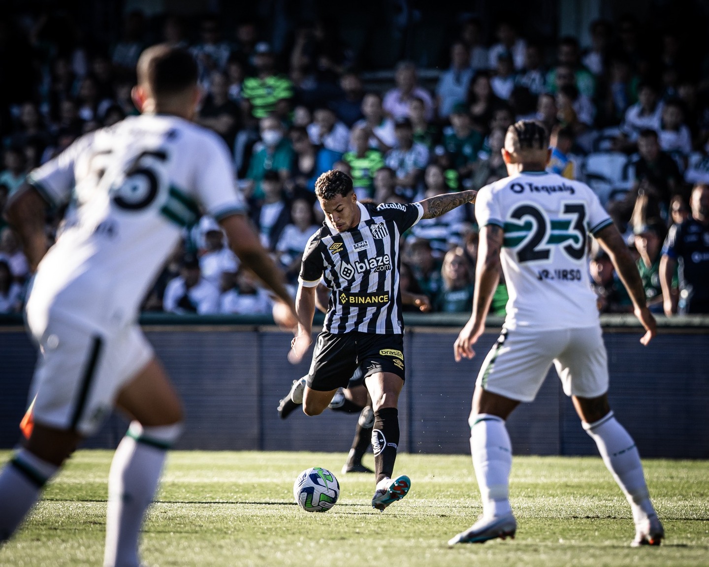 Santos empatou com o Coritiba neste sábado