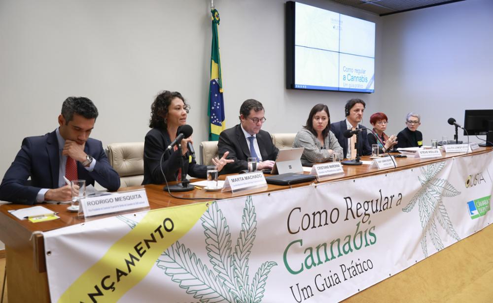 O Guia mostra que o Brasil é capaz de "aprender com as experiências e práticas já implementadas"