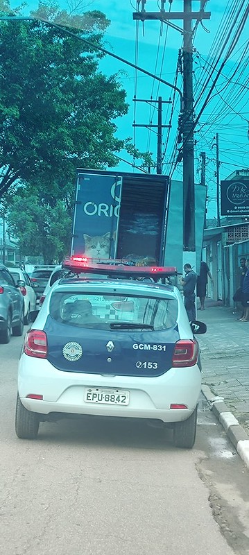 Caso ocorreu na última terça-feira (11)