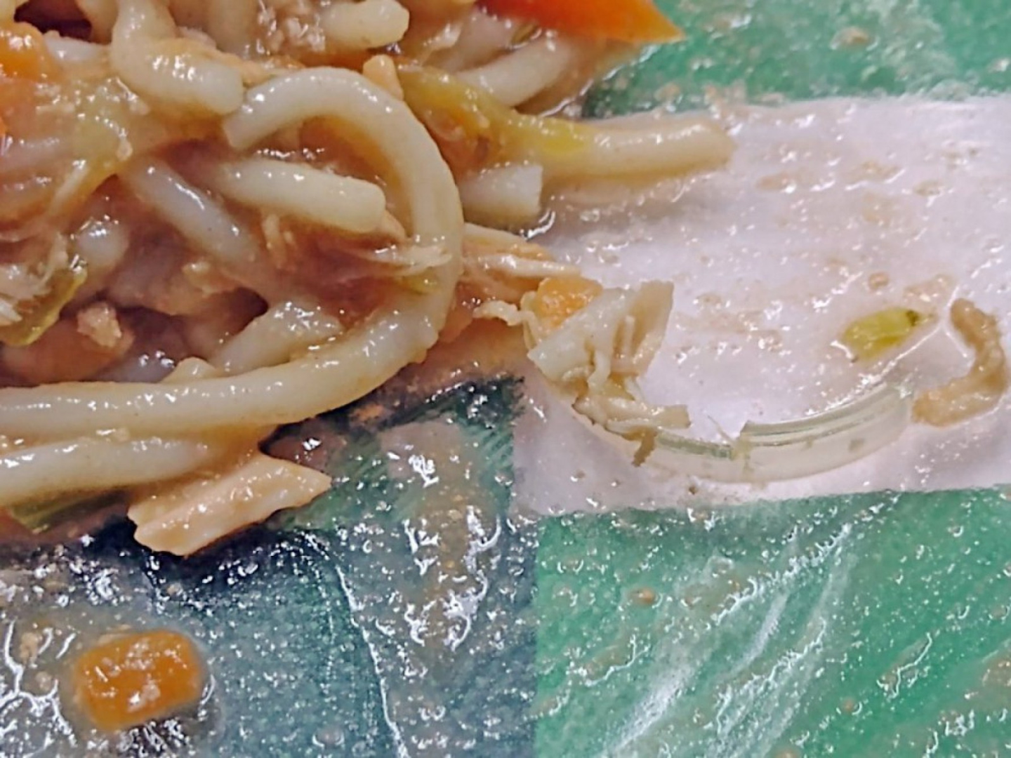 Profissionais afirmam ter encontrado pedaços de plástico em meio aos alimentos