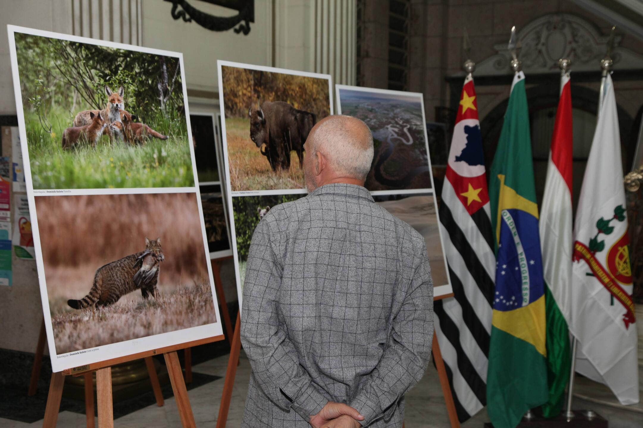 Uma das visitantes da exposição, Cíntia Silva de Oliveira disse que as fotografias permitem conhecer uma região onde nunca esteve