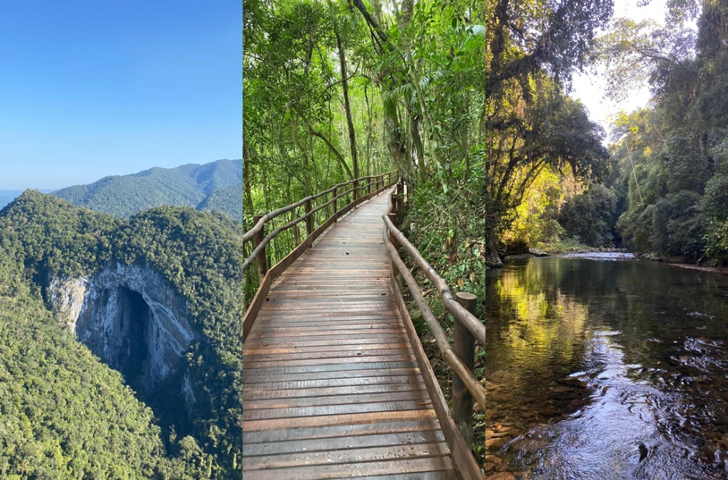 O Governo, por meio da Fundação Florestal, entregou 68 quilômetros de trilhas revitalizadas