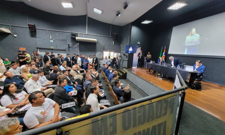 Para o Executivo, a cobrança de pedágio e a falta de vias marginais ininterruptas interligando as extremidades da cidade são os principais pontos de discordância do projeto