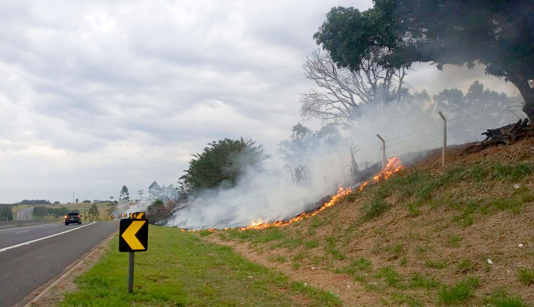 O número é 61% menor que o mesmo período de 2021, onde totalizaram 1.498 ocorrência