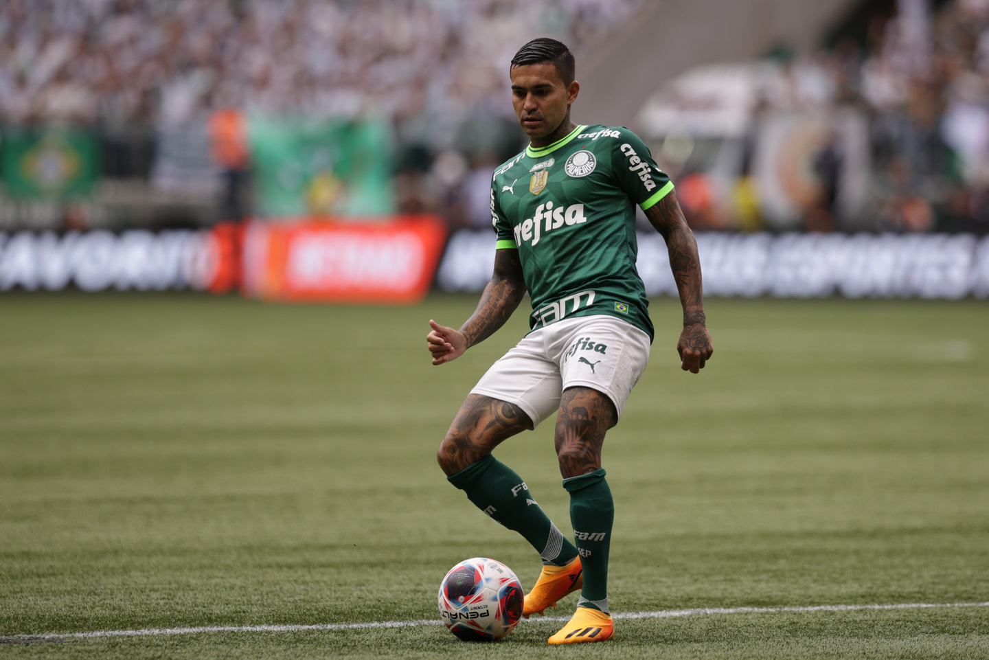 O atacante Dudu, do Palmeiras