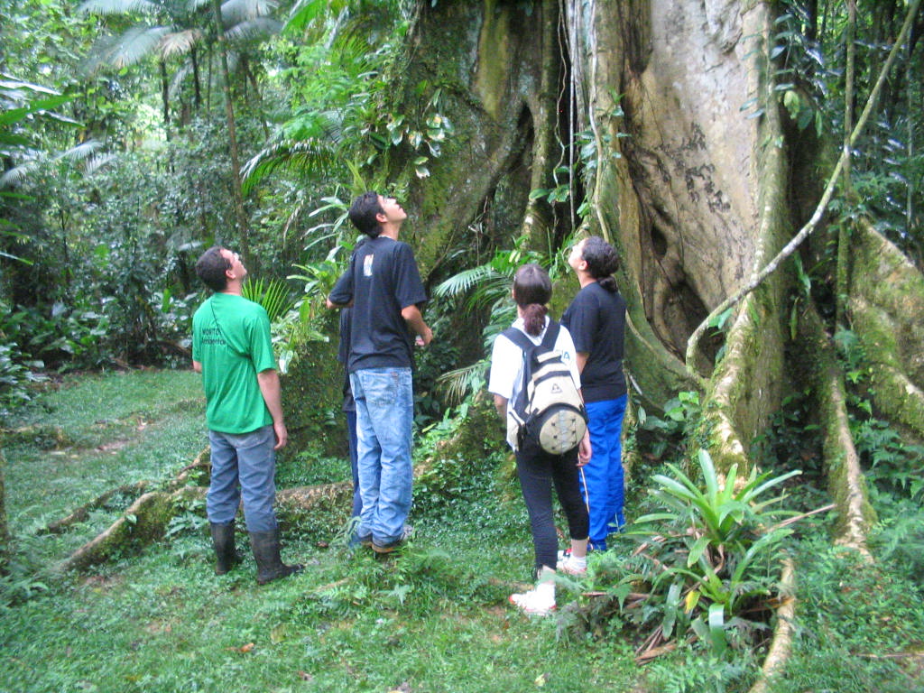 Curso será gratuito e em formato híbrido, dividido em duas fases