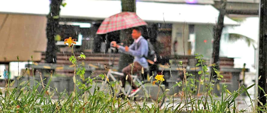 Domingo será de chuva em toda a Região