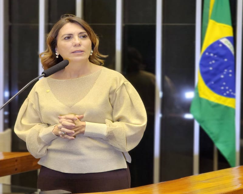 O parecer da deputada federal Rosana Valle foi aprovado nas últimas horas