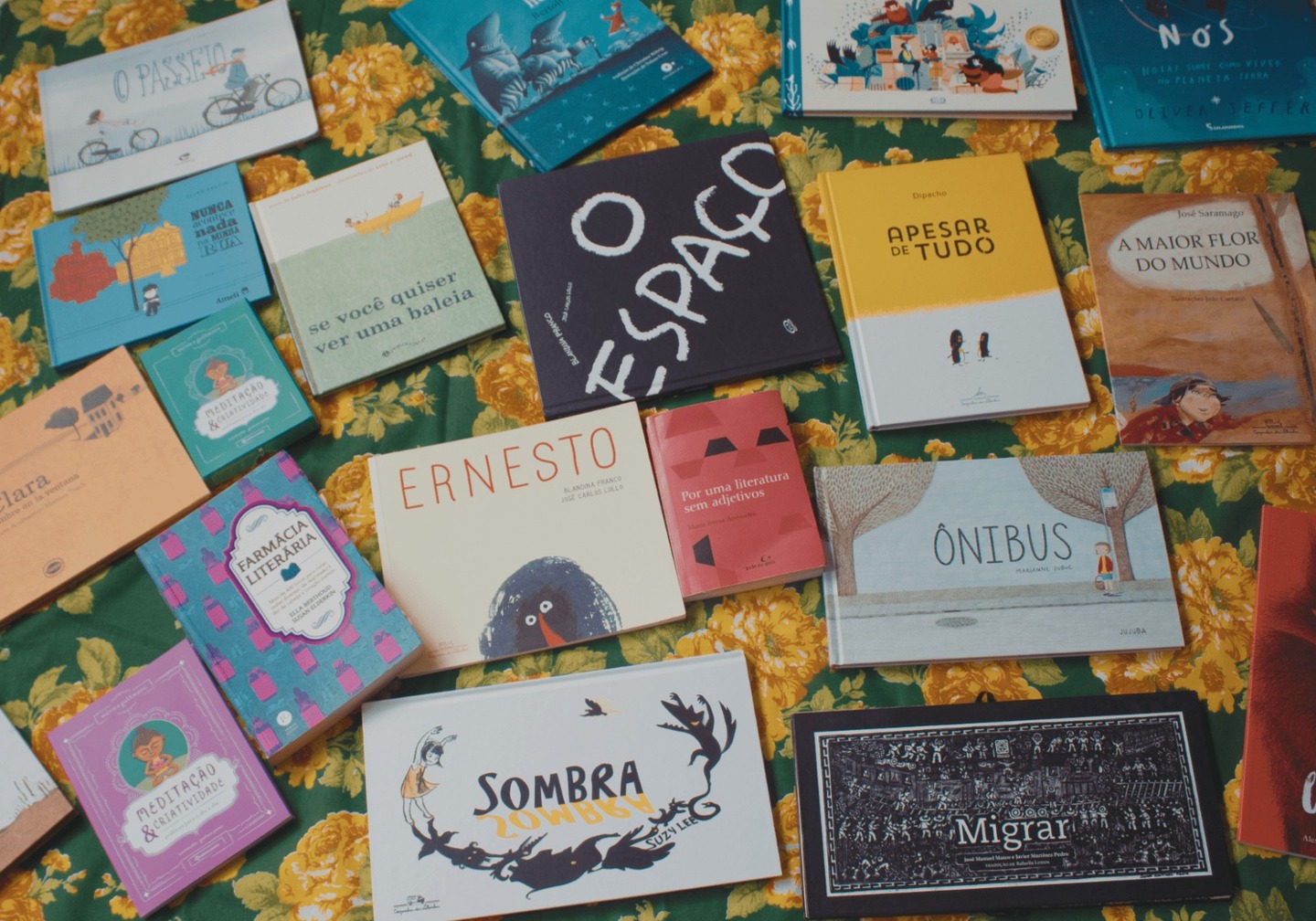 Além da doação de 400 livros de 10 diferentes títulos da Editora Evoluir para cada uma das escolas