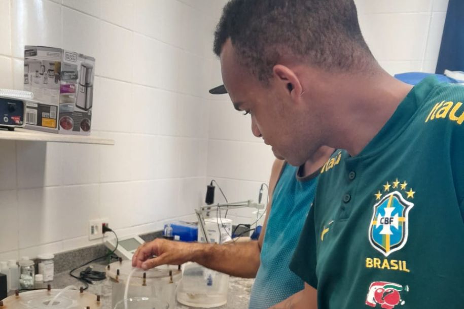 Feito de micropartículas de material em PVC e PET, o glitter tem a dimensão de 0,05 a 0,35 milímetros