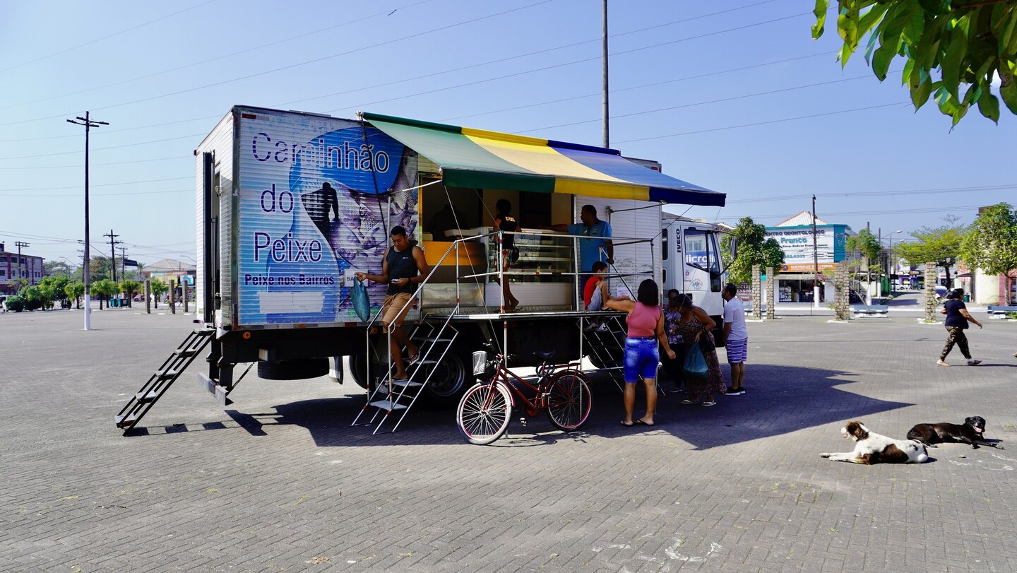 De segunda (16) a quinta-feira (19) é possível aproveitar o equipamento para garantir diversos tipos de pescado