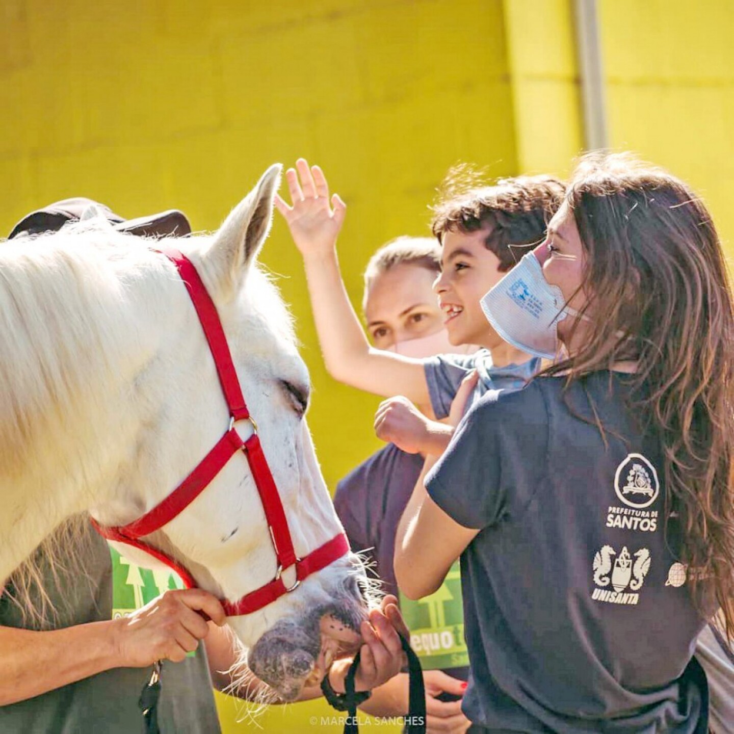 A Associação Equoterapia oferece um importante trabalho no desenvolvimento e atendimento a crianças e adolescentes com necessidades especiais