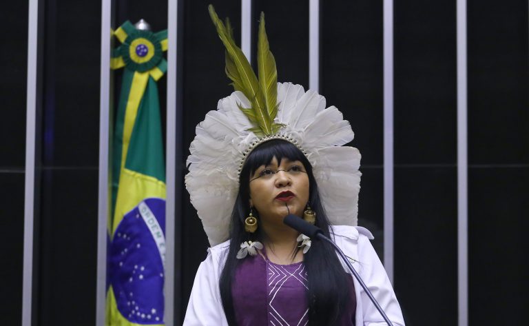 Célia Xakriabá integra a Comissão da Amazônia