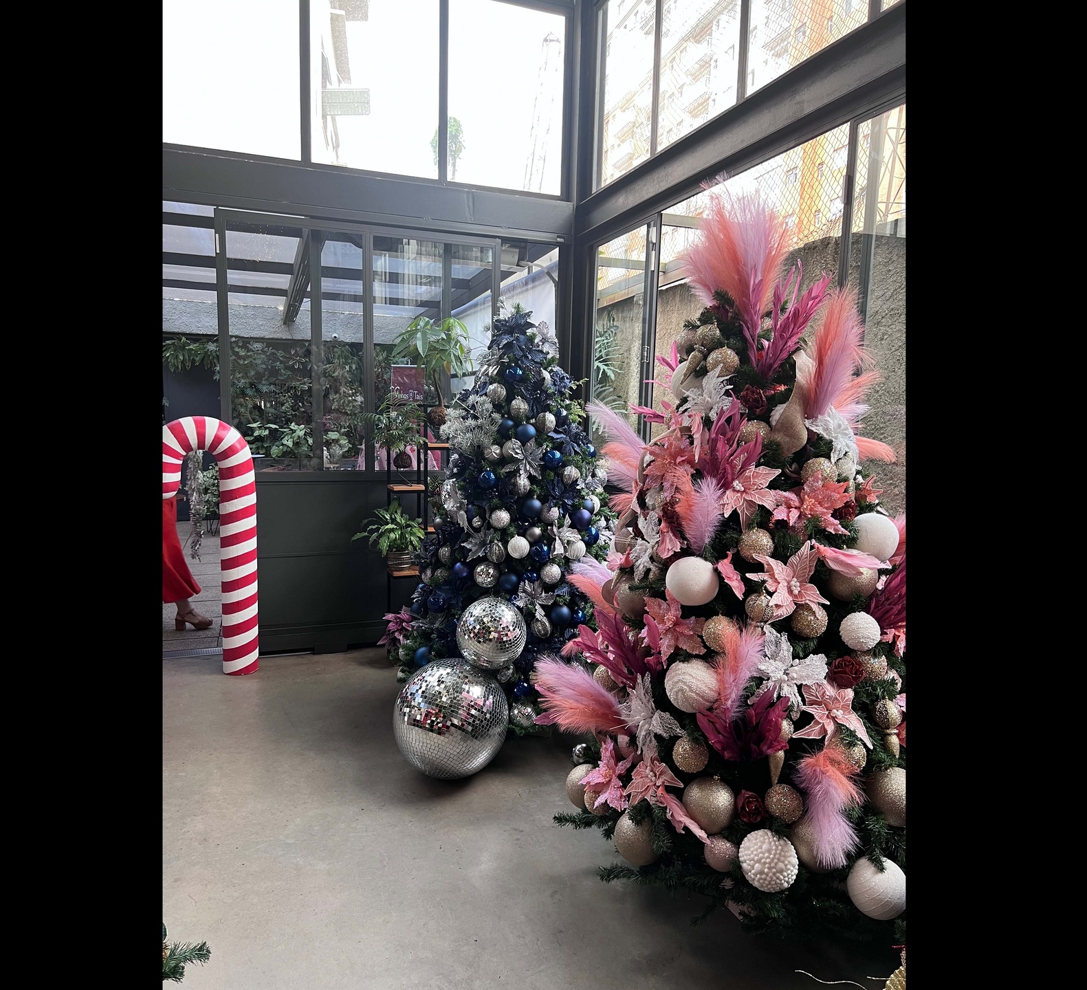 Estabelecimentos já antecipam decorações natalinas para colocar clientes no clima da melhor época do ano