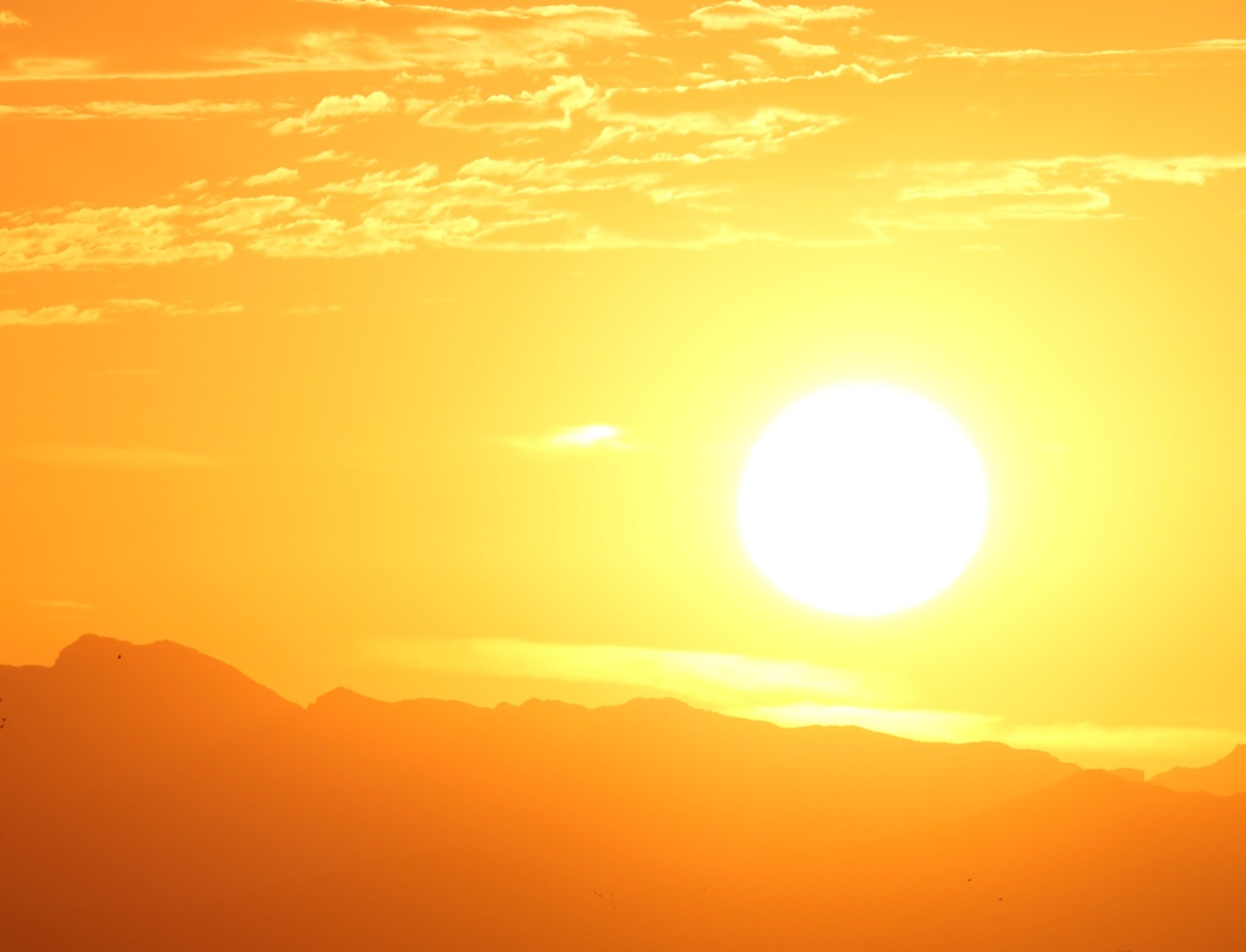 Segundo ambos portais, as máximas deste dia 15 de janeiro podem oscilar entre 32&ordm;C e 34&ordm;C