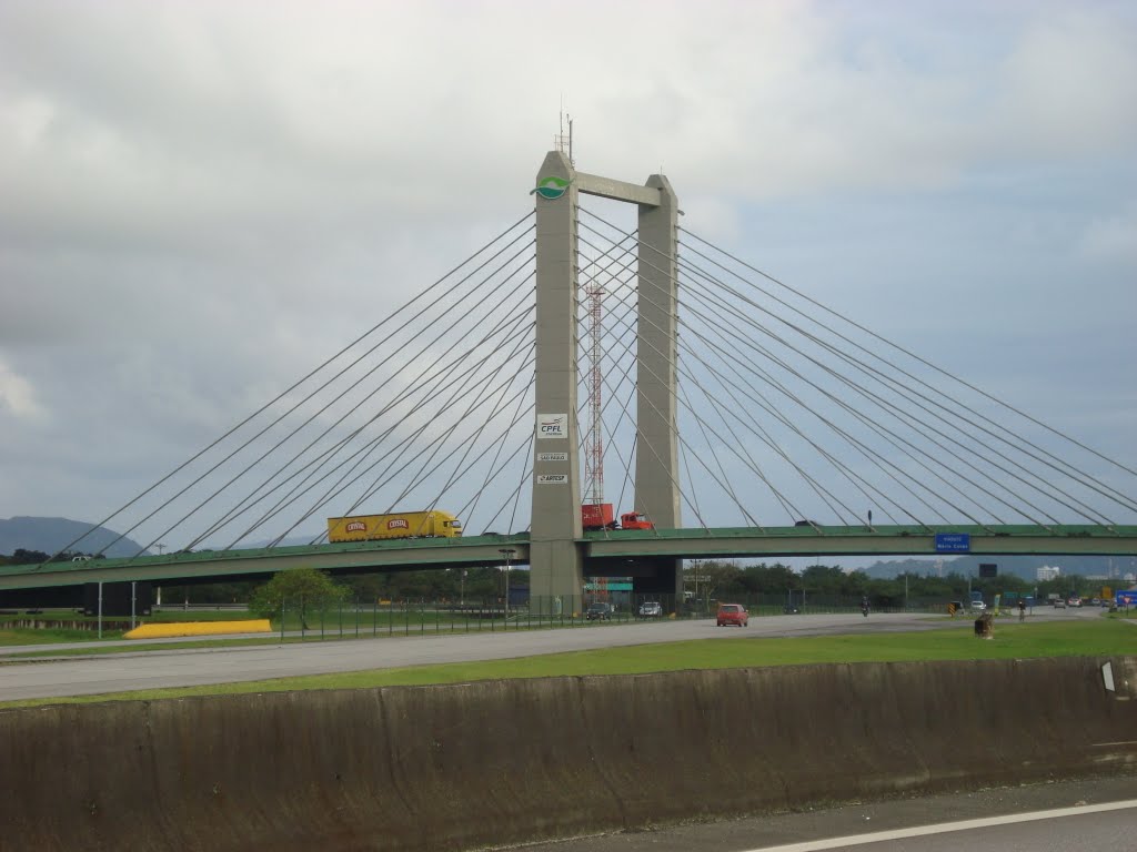 Novo ecopátio pode ser construído próximo ao viaduto Mário Covas, na Interligação Anchieta-Imigrantes