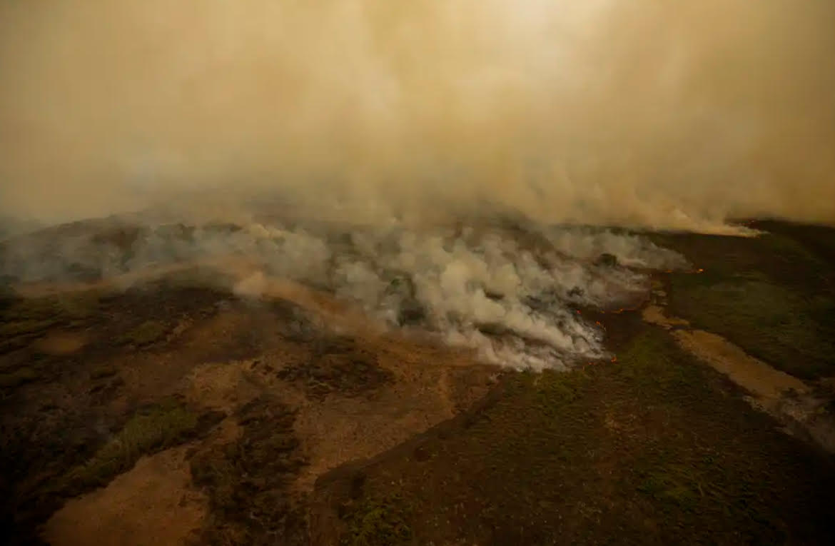 O óxido nitroso é capaz de agravar a destruição da camada de ozônio e sua principal forma de emissão nos dois biomas brasileiros é pelo solo de áreas alagadas