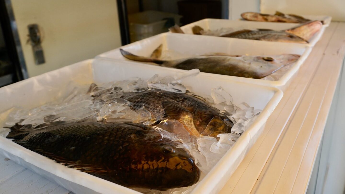 Em alguns pontos de parada do veículo, também acontece a Feira de Agricultura Familiar, com temperos, frutas, legumes e verduras mais em conta