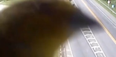 Passarinho aparece em vídeo de câmera