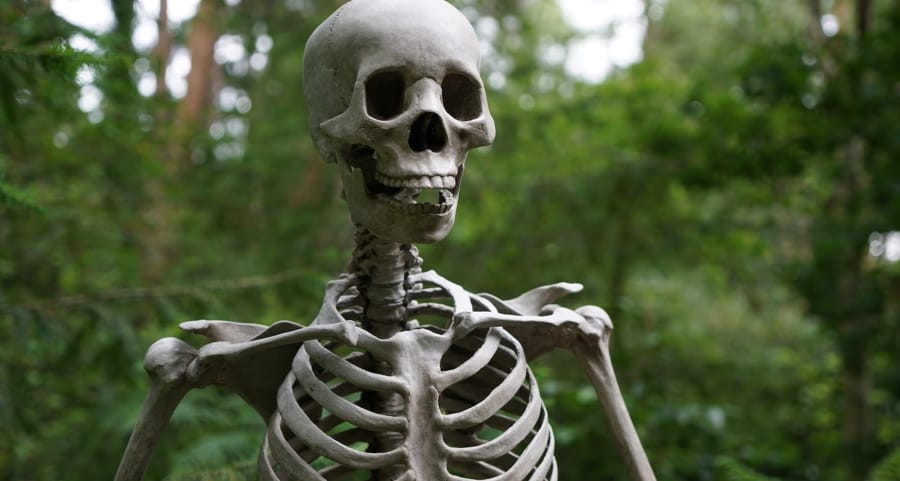 Um dos desfiles mais marcantes foi o de 1844, quando o