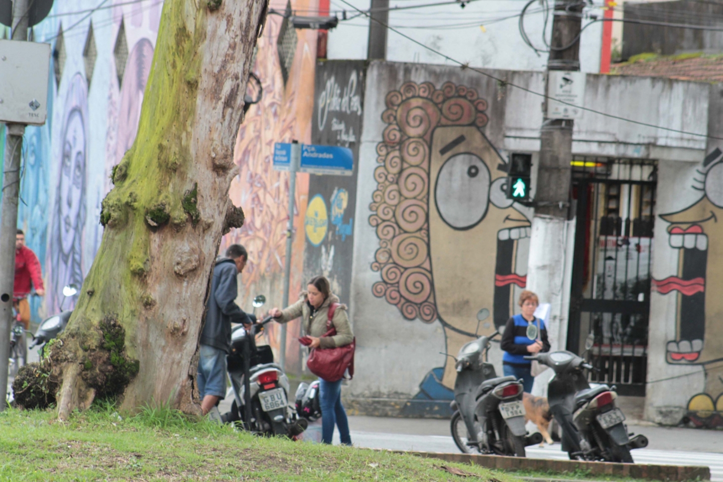 O texto começou a tramitar na Casa de Leis neste mês e deverá percorrer uma série de comissões antes de voltar ao plenário da Câmara para ser debatido