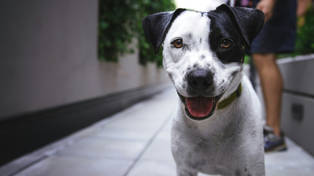 Projeto ainda não chegou ao Executivo e não tem data para ser sancionado