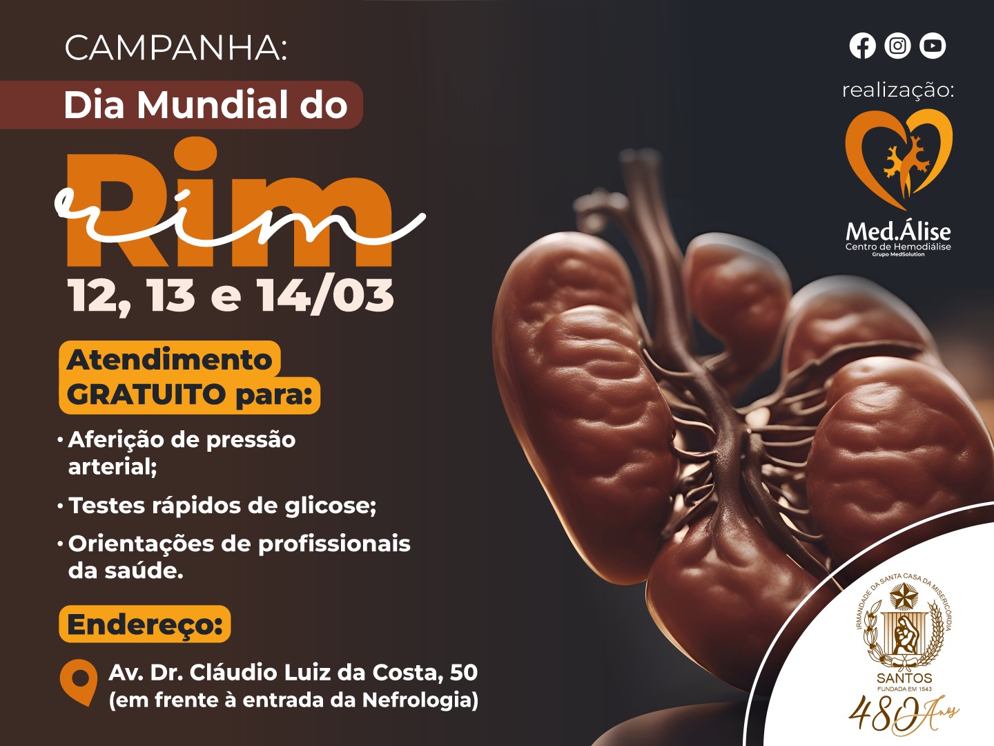 Anualmente, a Sociedade Brasileira de Nefrologia coordena no país a Campanha do Dia Mundial do Rim, que tem como objetivo disseminar informações sobre as doenças renais, com foco na prevenção, diagnóstico precoce e tratamento adequado