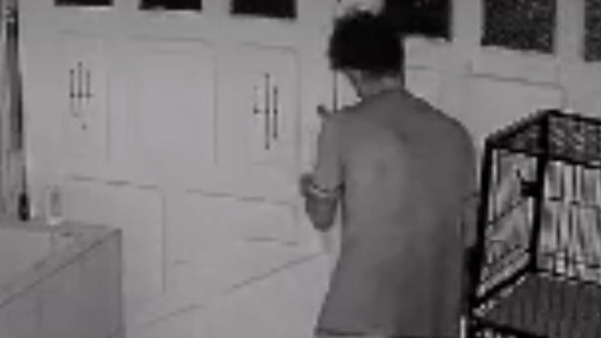 Os proprietários registraram Boletim de Ocorrência