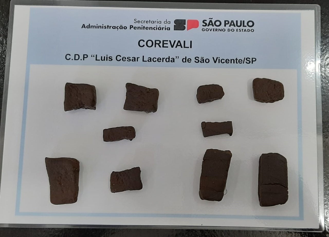 No Centro de Detenção Provisória (CDP), uma mulher, de 26 anos, ia visitar o companheiro, quando o equipamento detectou anormalidades nas imagens captadas