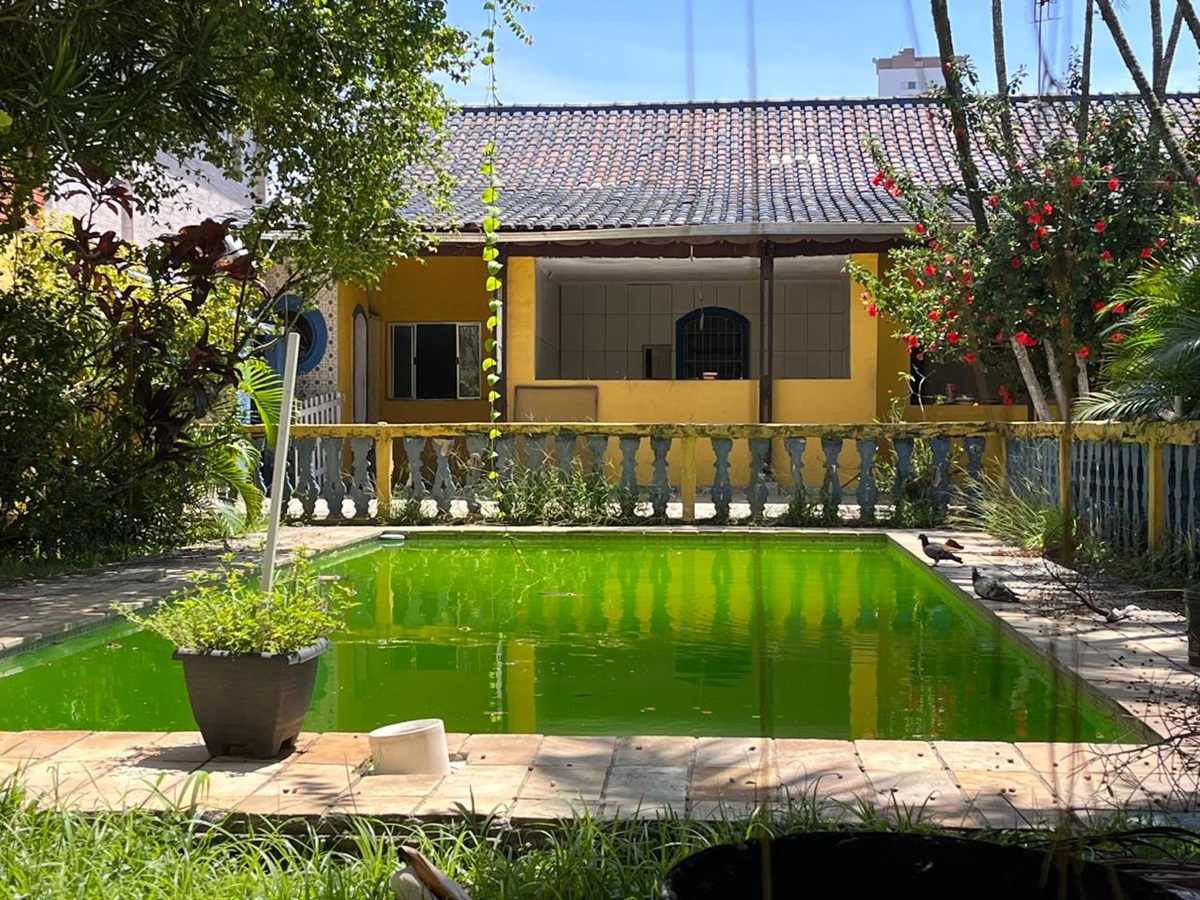 Prefeitura afirma que soltou peixes 'barrigudinhos' que se alimentam de larvas e mosquitos da Dengue