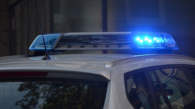 Foram apreendidos 118 porções de maconha e dois tijolos da droga que estavam enterrados em uma área de mata no Parque Estadual Marinho Laje, em São Vicente, no litoral de São Paulo