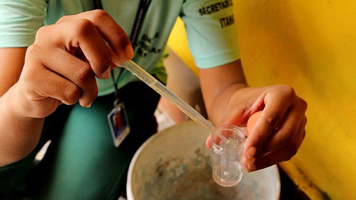 Decreto de estado de emergência permite à Prefeitura agilizar a compra de insumos