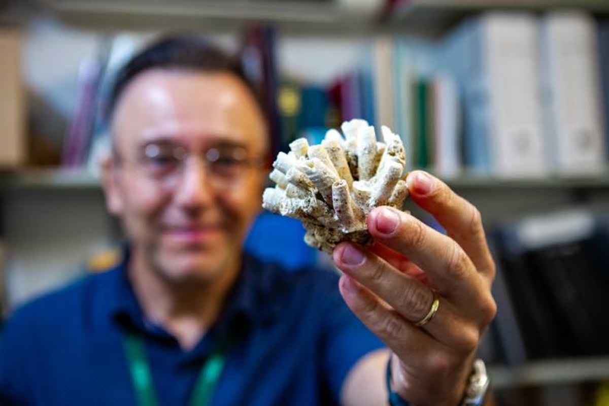 Animal pesquisado por André Tempone foi coletado no Litoral Norte de São Paulo