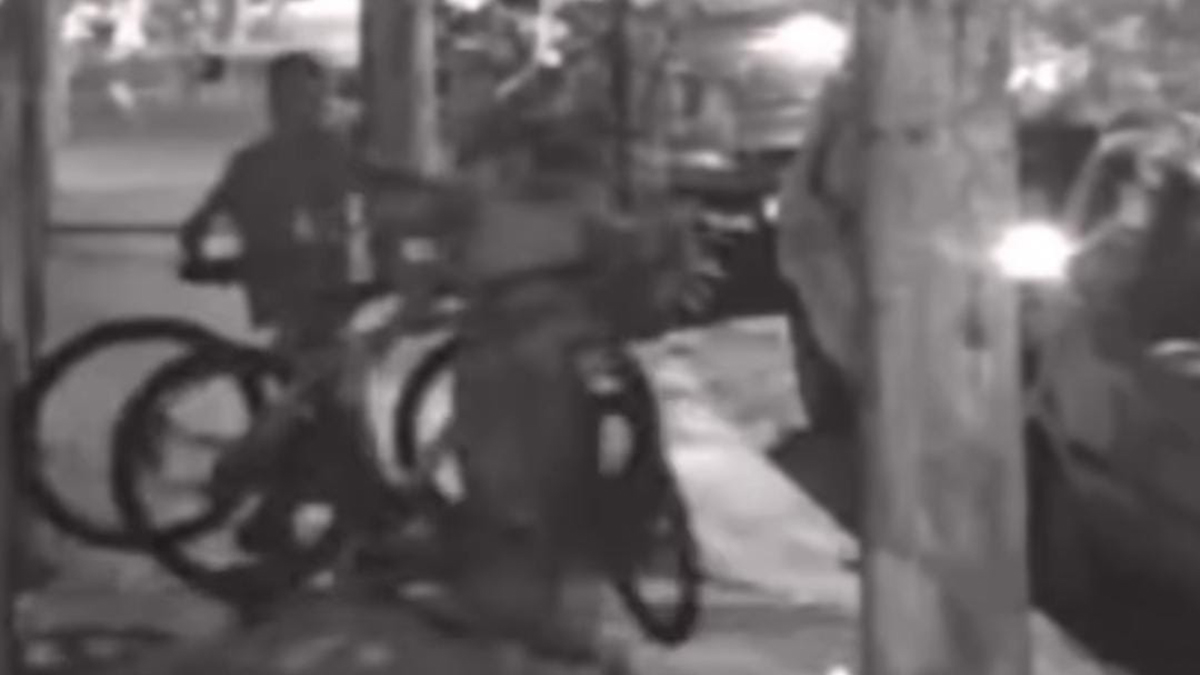 Ao todo, cinco veículos e uma escada de alumínio foram subtraídos