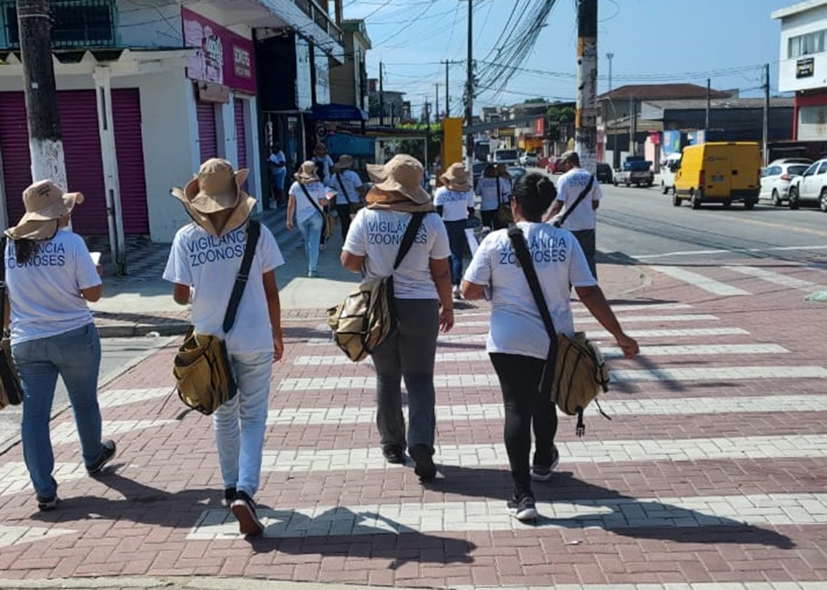 Principal objetivo é conseguir entrar em terrenos abandonados, com focos de dengue