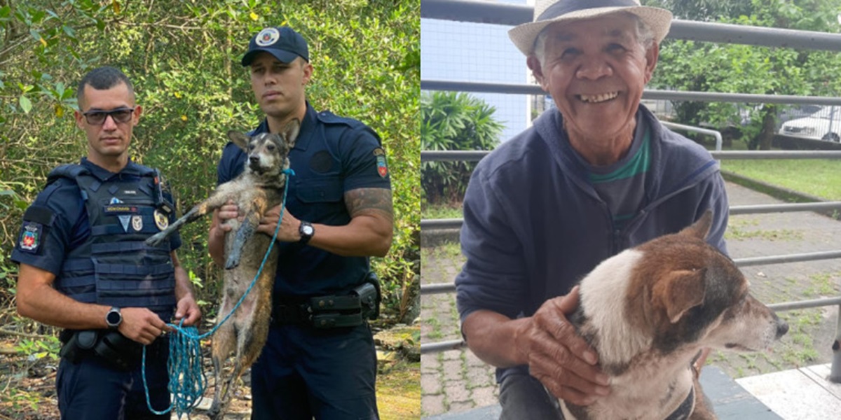 Leleco passou sete dias desaparecido e foi encontrado com a ajuda do sistema de monitoramento do Píer no Casqueiro